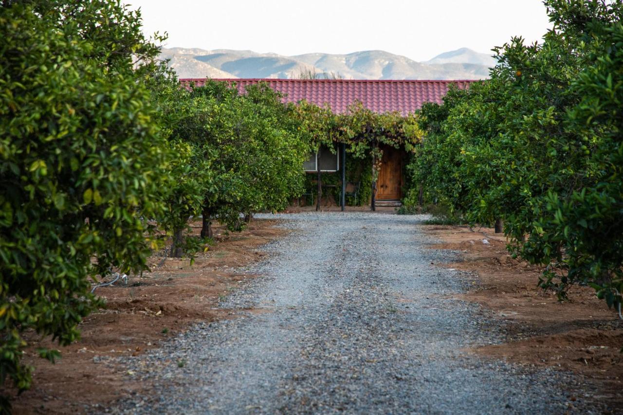Terra Del Valle Bed & Breakfast Valle de Guadalupe Exterior foto