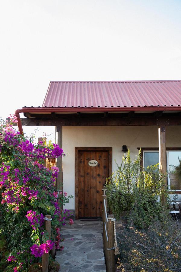 Terra Del Valle Bed & Breakfast Valle de Guadalupe Exterior foto